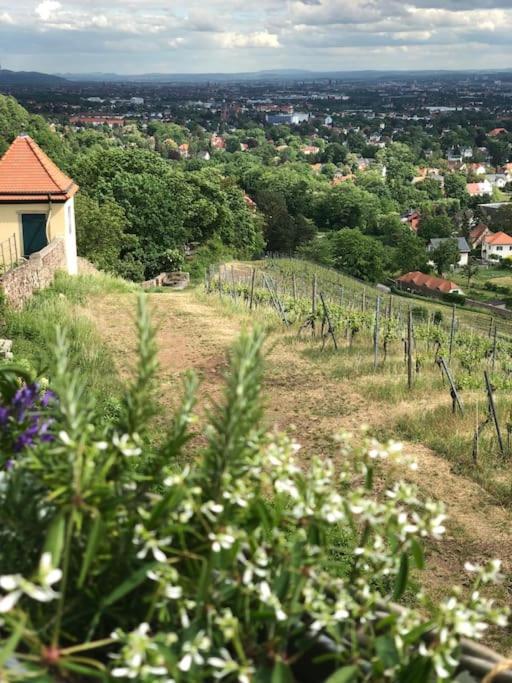 Wohlfuehl-Apartment Am Paradiesberg Radebeul Eksteriør bilde